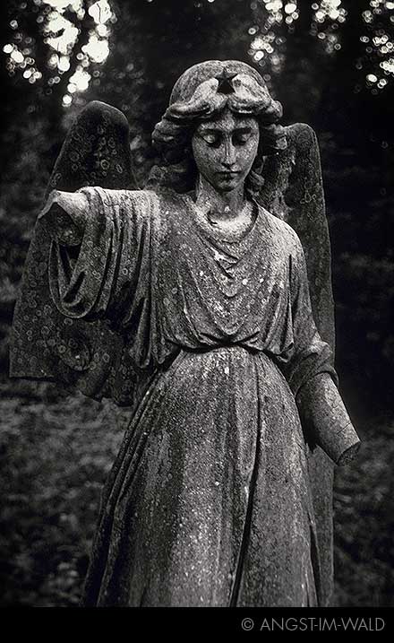 pictures of Graveyard  Angels Series #02