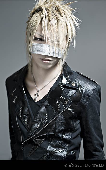 pictures of The Gazette Promo 2007